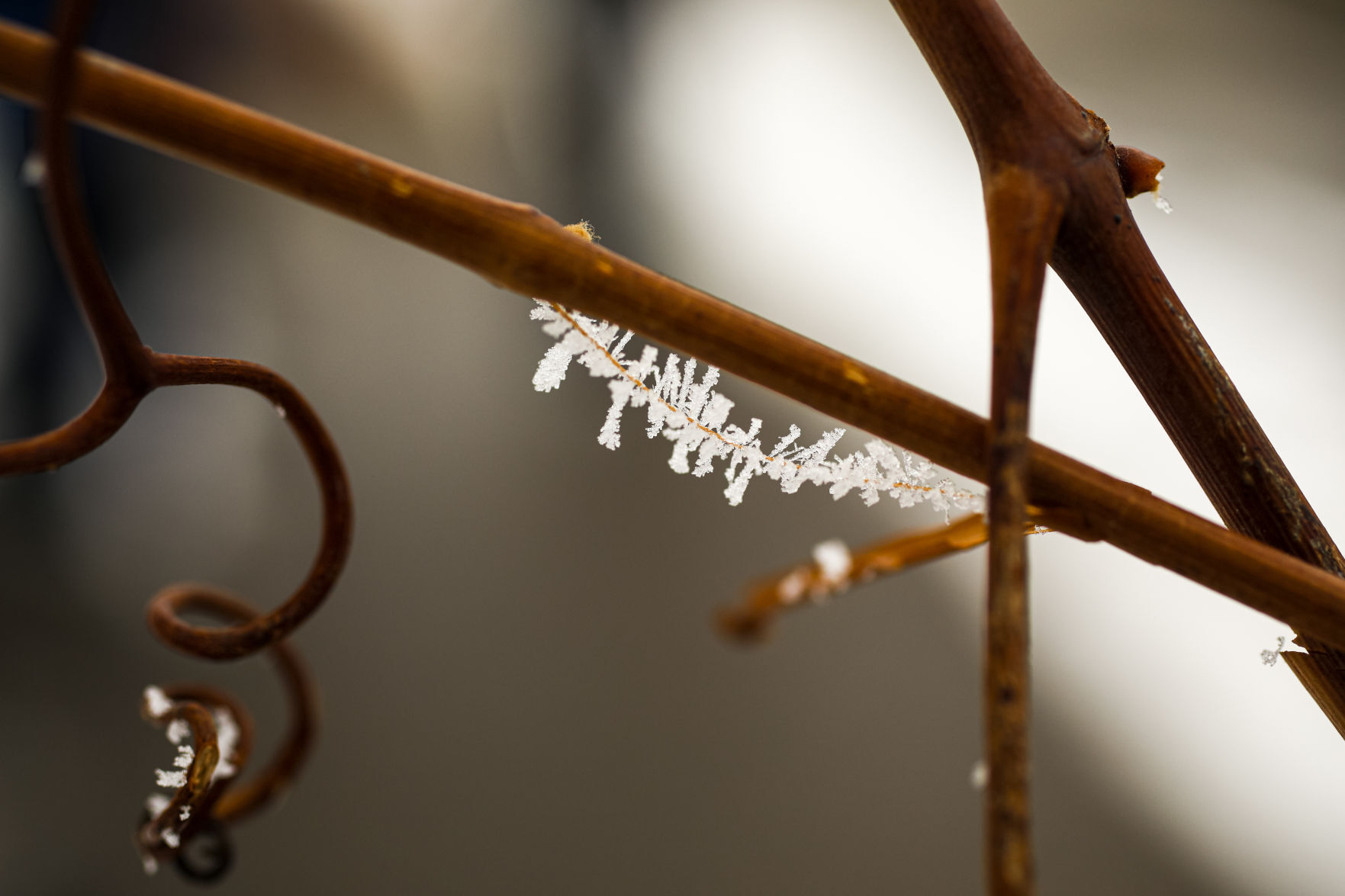 Rime Ice 010420 04-01042021165814